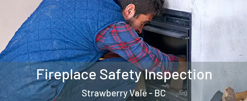  Fireplace Safety Inspection Strawberry Vale - BC