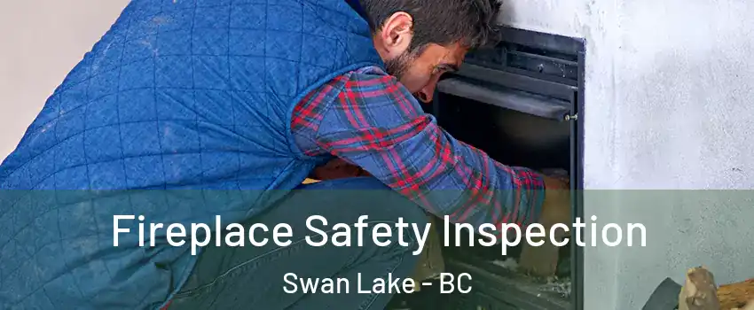  Fireplace Safety Inspection Swan Lake - BC