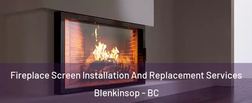  Fireplace Screen Installation And Replacement Services Blenkinsop - BC