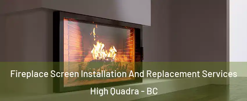  Fireplace Screen Installation And Replacement Services High Quadra - BC