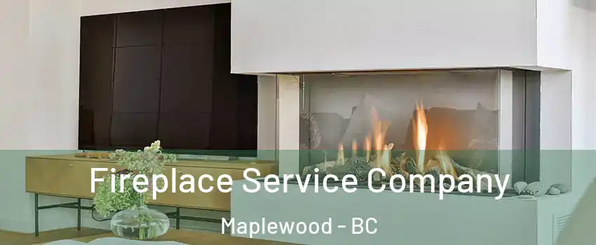  Fireplace Service Company Maplewood - BC