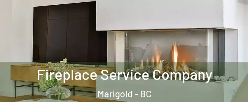  Fireplace Service Company Marigold - BC