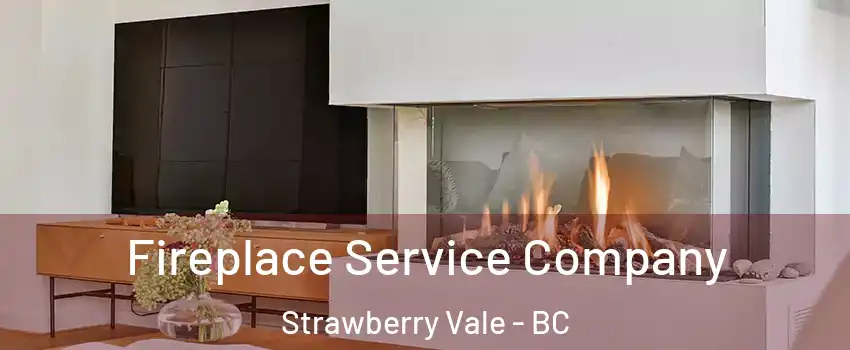  Fireplace Service Company Strawberry Vale - BC