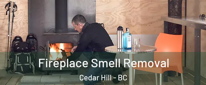 Fireplace Smell Removal Cedar Hill - BC
