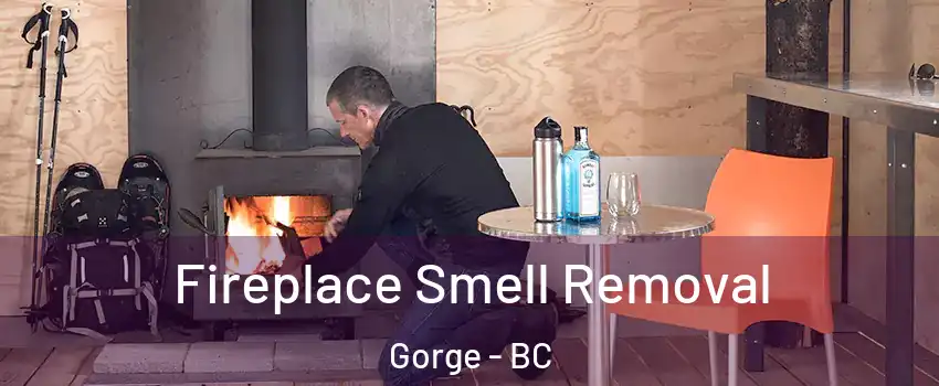  Fireplace Smell Removal Gorge - BC