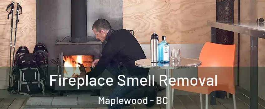 Fireplace Smell Removal Maplewood - BC