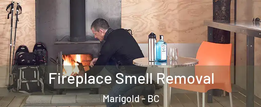  Fireplace Smell Removal Marigold - BC