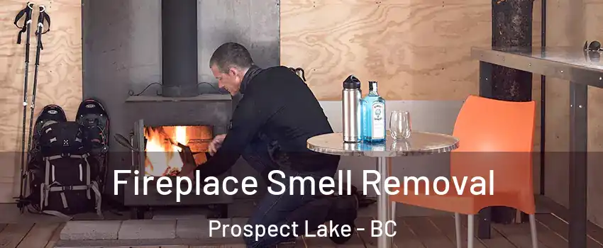Fireplace Smell Removal Prospect Lake - BC