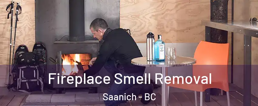  Fireplace Smell Removal Saanich - BC