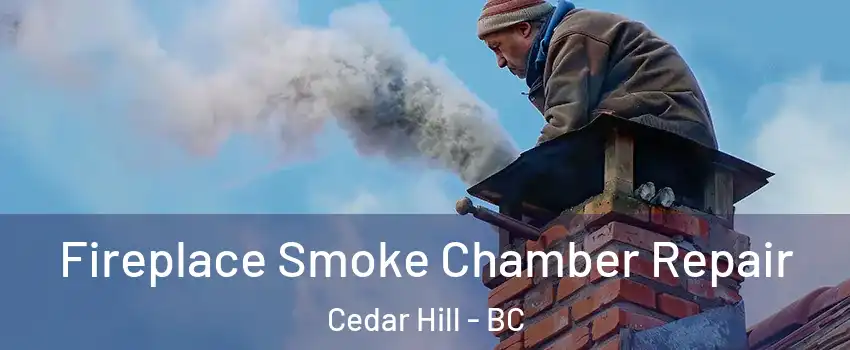 Fireplace Smoke Chamber Repair Cedar Hill - BC
