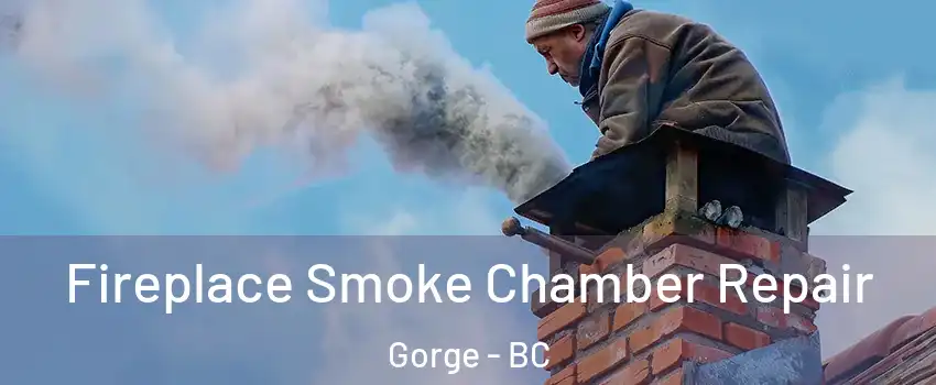  Fireplace Smoke Chamber Repair Gorge - BC