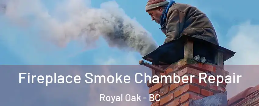  Fireplace Smoke Chamber Repair Royal Oak - BC