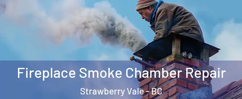  Fireplace Smoke Chamber Repair Strawberry Vale - BC
