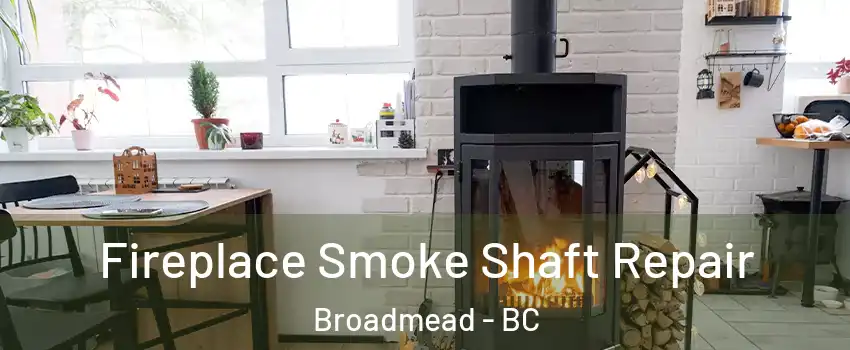  Fireplace Smoke Shaft Repair Broadmead - BC