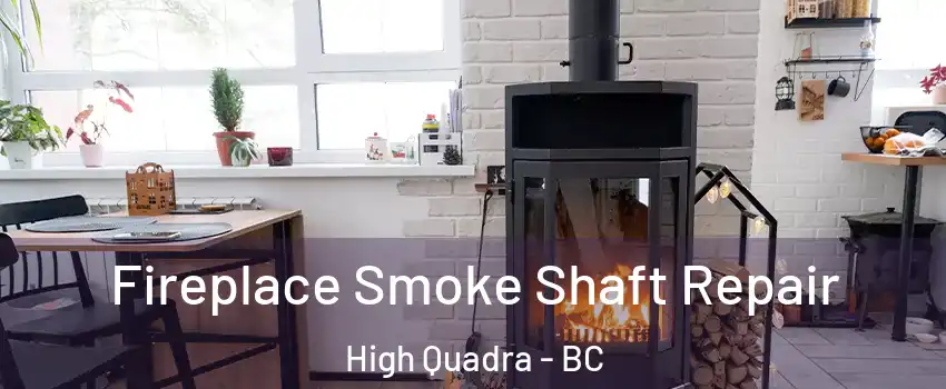  Fireplace Smoke Shaft Repair High Quadra - BC