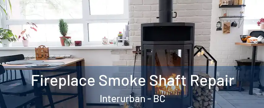 Fireplace Smoke Shaft Repair Interurban - BC