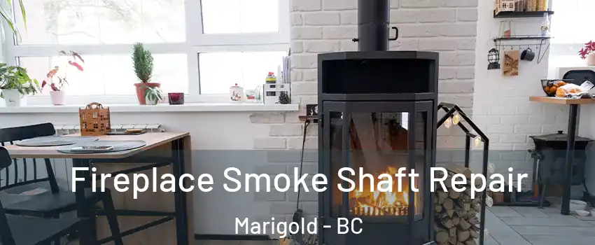  Fireplace Smoke Shaft Repair Marigold - BC