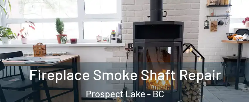  Fireplace Smoke Shaft Repair Prospect Lake - BC