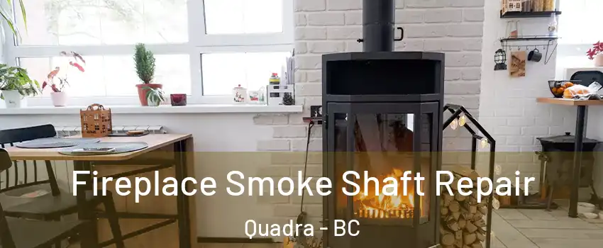  Fireplace Smoke Shaft Repair Quadra - BC