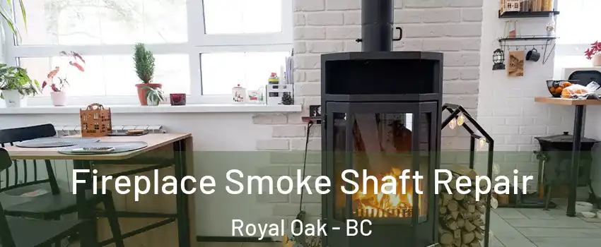  Fireplace Smoke Shaft Repair Royal Oak - BC
