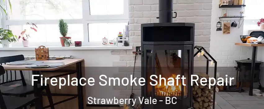  Fireplace Smoke Shaft Repair Strawberry Vale - BC