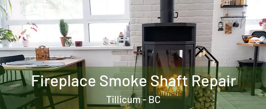  Fireplace Smoke Shaft Repair Tillicum - BC