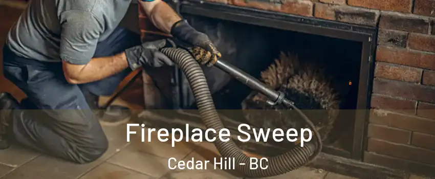 Fireplace Sweep Cedar Hill - BC