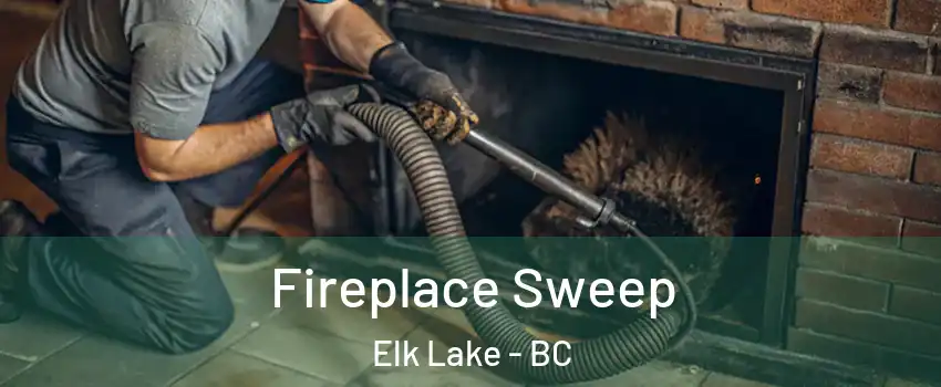  Fireplace Sweep Elk Lake - BC