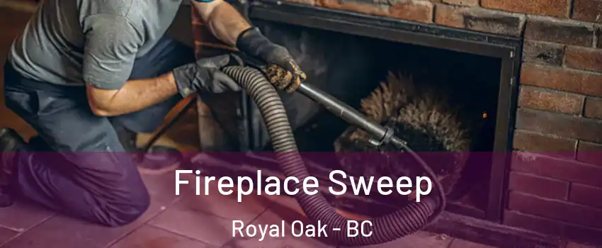  Fireplace Sweep Royal Oak - BC