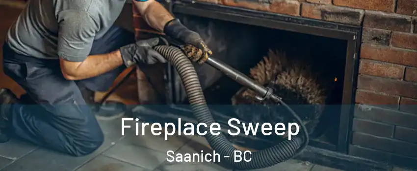  Fireplace Sweep Saanich - BC
