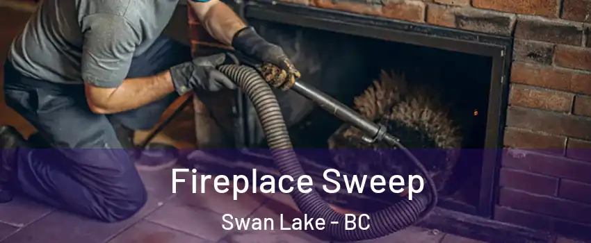 Fireplace Sweep Swan Lake - BC