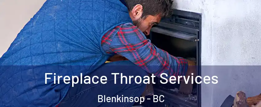  Fireplace Throat Services Blenkinsop - BC