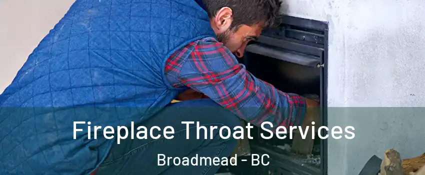  Fireplace Throat Services Broadmead - BC