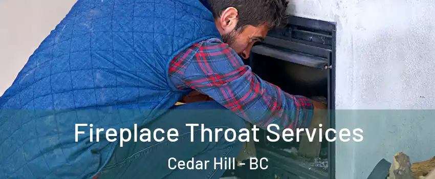  Fireplace Throat Services Cedar Hill - BC