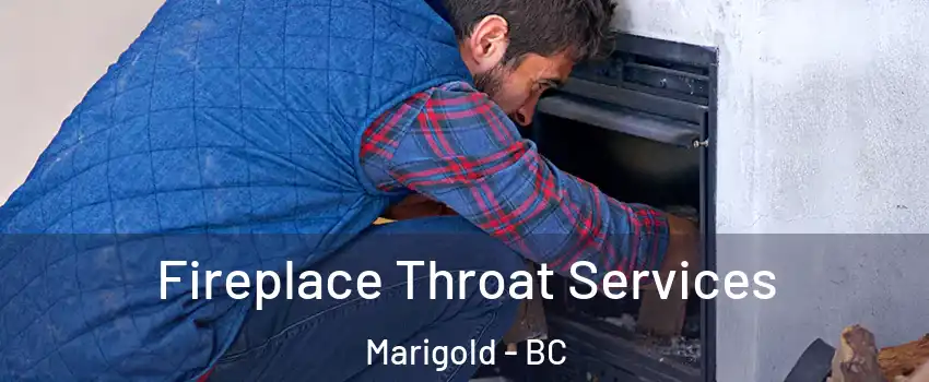  Fireplace Throat Services Marigold - BC