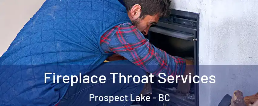  Fireplace Throat Services Prospect Lake - BC