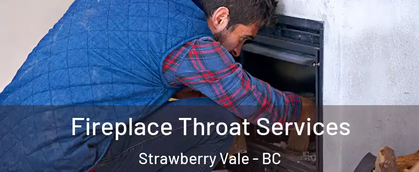  Fireplace Throat Services Strawberry Vale - BC