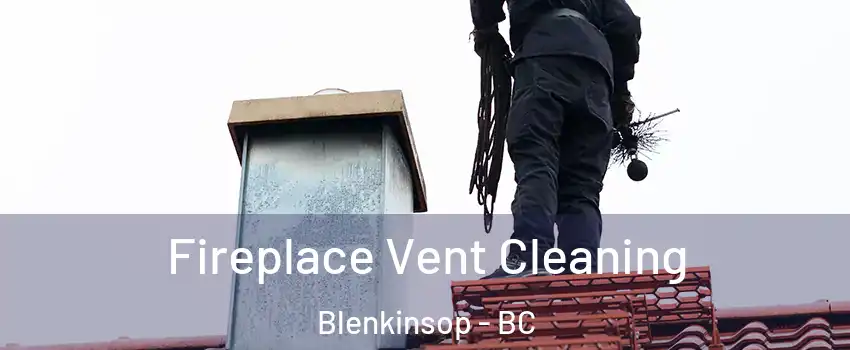  Fireplace Vent Cleaning Blenkinsop - BC