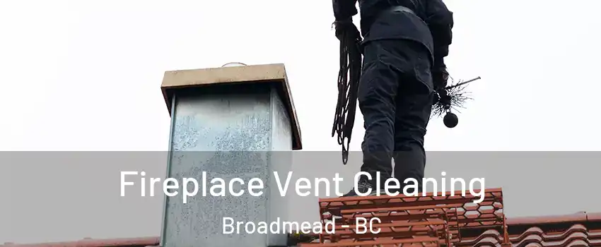  Fireplace Vent Cleaning Broadmead - BC