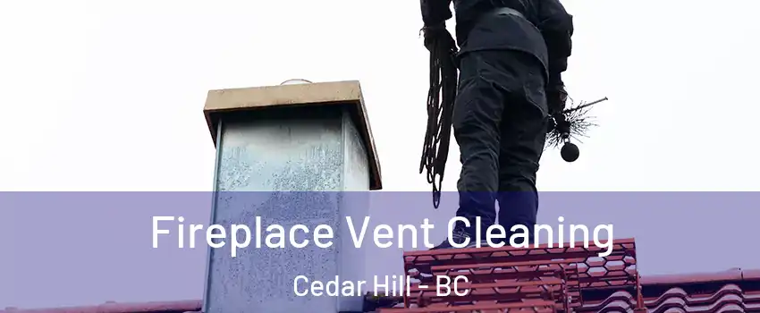  Fireplace Vent Cleaning Cedar Hill - BC