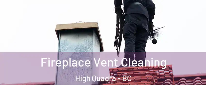  Fireplace Vent Cleaning High Quadra - BC