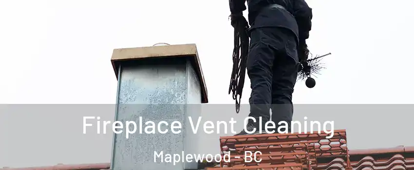  Fireplace Vent Cleaning Maplewood - BC