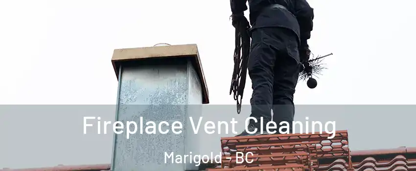  Fireplace Vent Cleaning Marigold - BC