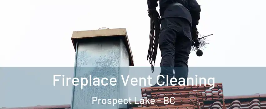  Fireplace Vent Cleaning Prospect Lake - BC