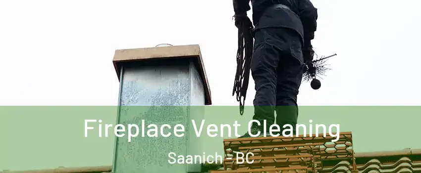  Fireplace Vent Cleaning Saanich - BC