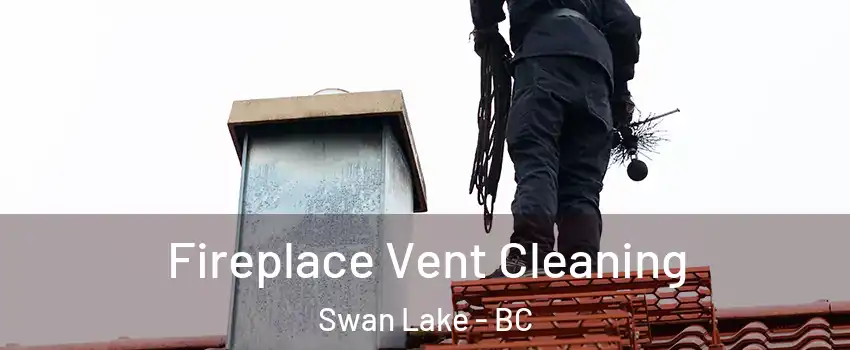  Fireplace Vent Cleaning Swan Lake - BC