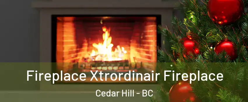  Fireplace Xtrordinair Fireplace Cedar Hill - BC
