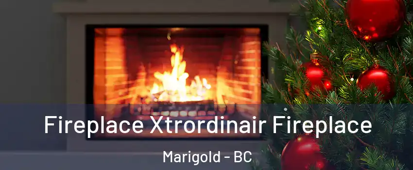  Fireplace Xtrordinair Fireplace Marigold - BC