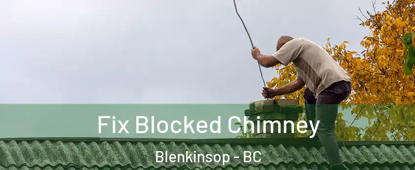  Fix Blocked Chimney Blenkinsop - BC