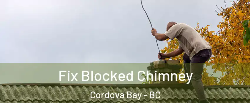Fix Blocked Chimney Cordova Bay - BC